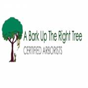 abarkuprighttree