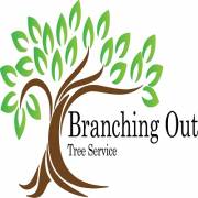 branchingoutservice