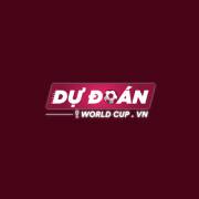 dudoanworldcup