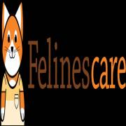 felines_care