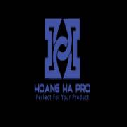 hoanghaplastic247