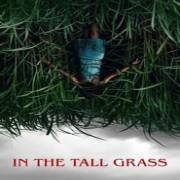 In the Tall Grass 123Movies