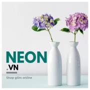 neondotvn