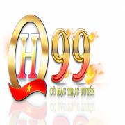 qh99vnclub