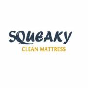 squeakycleanadelaide