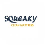 squeakycleanmattress